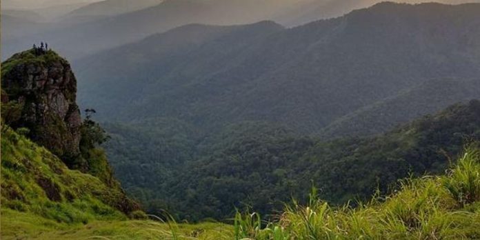 വാഗമണ്ണില് എഞ്ചിനീയറിംഗ് വിദ്യാര്ത്ഥി കൊക്കയില് ചാടി വാഗമണ്ണില് എഞ്ചിനീയറിംഗ് വിദ്യാര്ത്ഥി കൊക്കയില് ചാടി