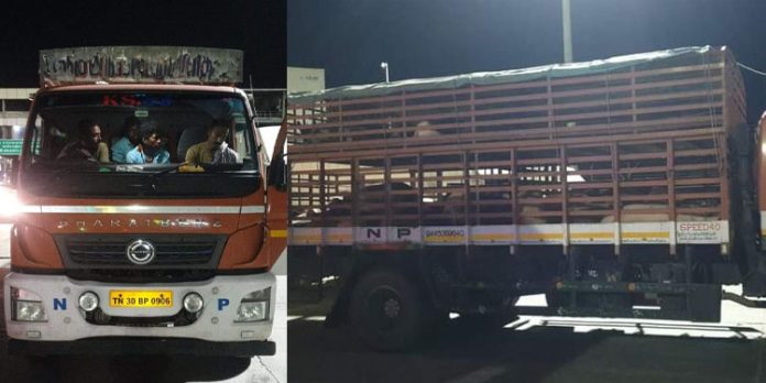 ചെക്ക്പോസ്റ്റുകൾ വഴി രോഗബാധയുള്ള പന്നികളെ കൂട്ടത്തോടെ കേരളത്തിലേക്ക് കടത്തുന്നു ചെക്ക്പോസ്റ്റുകൾ വഴി രോഗബാധയുള്ള പന്നികളെ കൂട്ടത്തോടെ കേരളത്തിലേക്ക് കടത്തുന്നു