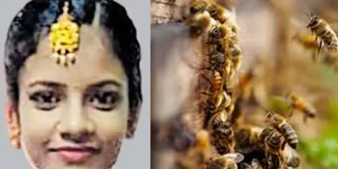 തേനീച്ചകൾ കുത്തി 14കാരി മരിച്ച സംഭവം ; സര്ക്കാര് 10 ലക്ഷം രൂപ നഷ്ടപരിഹാരം നല്കണമെന്ന് ഉത്തരവ് തേനീച്ചകൾ കുത്തി 14കാരി മരിച്ച സംഭവം ; സര്ക്കാര് 10 ലക്ഷം രൂപ നഷ്ടപരിഹാരം നല്കണമെന്ന് ഉത്തരവ്