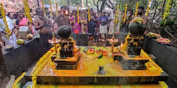 കല്ലേലി കാവിൽ ആയില്യം പൂജ സമര്പ്പിച്ചു കല്ലേലി കാവിൽ ആയില്യം പൂജ സമര്പ്പിച്ചു