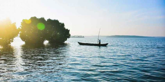 നെടുങ്ങോലത്തേക്ക് ഇടക്കൊരു യാത്ര പോകാം നെടുങ്ങോലത്തേക്ക് ഇടക്കൊരു യാത്ര പോകാം