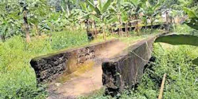 പുനരുദ്ധരിക്കാൻ നടപടിയില്ലാതെ കനാൽ പാലം പുനരുദ്ധരിക്കാൻ നടപടിയില്ലാതെ കനാൽ പാലം