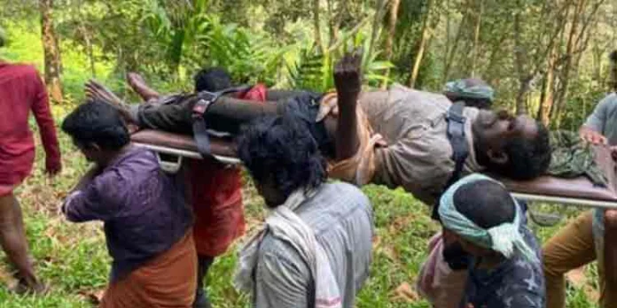 കോട്ടമൺപാറയിൽ കടുവ അക്രമം കോട്ടമൺപാറയിൽ കടുവ അക്രമം