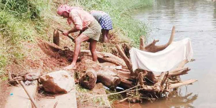 കൈപ്പുഴ പന്തപ്ലാവിൽ കടവിലെ ചെളി നീക്കിത്തുടങ്ങി കൈപ്പുഴ പന്തപ്ലാവിൽ കടവിലെ ചെളി നീക്കിത്തുടങ്ങി