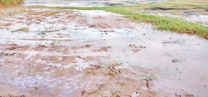കൃഷി ഇറക്കാന് കര്ഷകരുണ്ട് ; പക്ഷേ അടിസ്ഥാന സൗകര്യങ്ങള് ഇനിയും ലഭിക്കാതെ കരിങ്ങാലിപ്പാടം കൃഷി ഇറക്കാന് കര്ഷകരുണ്ട് ; പക്ഷേ അടിസ്ഥാന സൗകര്യങ്ങള് ഇനിയും ലഭിക്കാതെ കരിങ്ങാലിപ്പാടം