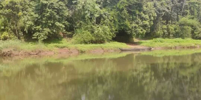 ഇളകൊള്ളൂര് കടവിലെ കടത്തുവള്ള സർവീസ് പുനരാരംഭിക്കണം ഇളകൊള്ളൂര് കടവിലെ കടത്തുവള്ള സർവീസ് പുനരാരംഭിക്കണം