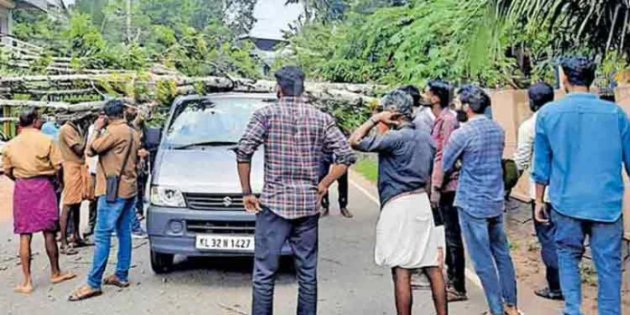 ഓടിക്കൊണ്ടിരുന്ന വാനിനു മുകളിലേക്ക് മരം വീണു ; ആര്ക്കും പരിക്കില്ല ഓടിക്കൊണ്ടിരുന്ന വാനിനു മുകളിലേക്ക് മരം വീണു ; ആര്ക്കും പരിക്കില്ല