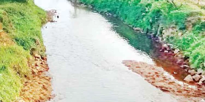 തുലാമഴ : വാക്കേക്കടവ് പാടശേഖരത്തിലെ കർഷകര് ആശങ്കയില് തുലാമഴ : വാക്കേക്കടവ് പാടശേഖരത്തിലെ കർഷകര് ആശങ്കയില്