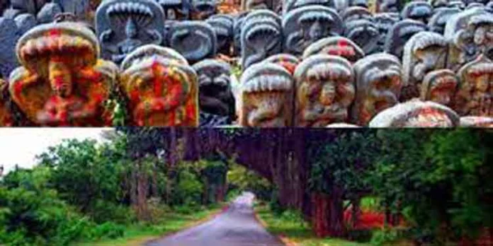 അറിയാം നിധി കാക്കുന്ന നാഗദൈവത്തിന്റെ ക്ഷേത്രം അറിയാം നിധി കാക്കുന്ന നാഗദൈവത്തിന്റെ ക്ഷേത്രം