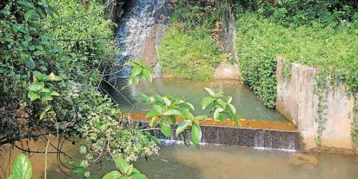 കാരയ്ക്കാട്ട് സ്നാനഘട്ടത്തില് കാട് കയറുന്നു ; തിരിഞ്ഞ് നോക്കാതെ അധികൃതര് കാരയ്ക്കാട്ട് സ്നാനഘട്ടത്തില് കാട് കയറുന്നു ; തിരിഞ്ഞ് നോക്കാതെ അധികൃതര്