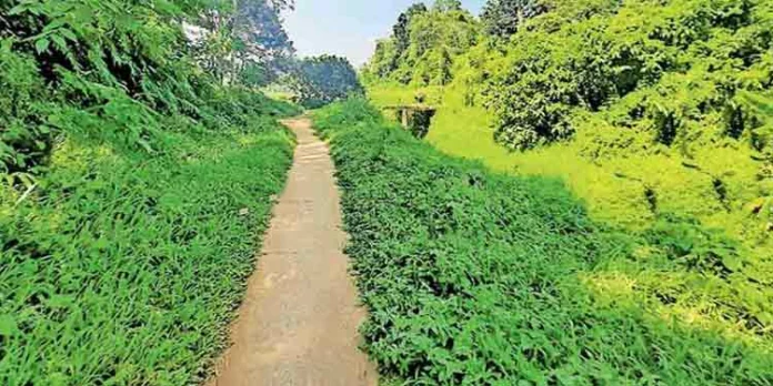 ഓന്തിപ്പുഴ തോടിനു കുറുകെ കാട് കയറിയിട്ടും പാലം പണിയാതെ അധികൃതര് ഓന്തിപ്പുഴ തോടിനു കുറുകെ കാട് കയറിയിട്ടും പാലം പണിയാതെ അധികൃതര്