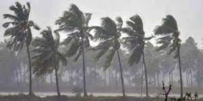 പത്തനംതിട്ടയില് ഇന്നലെ ലഭിച്ച മഴ പത്തനംതിട്ടയില് ഇന്നലെ ലഭിച്ച മഴ