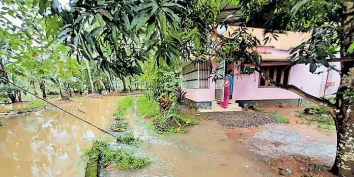 ശക്തമായ മഴയിൽ കര കവിഞ്ഞ് തോട് : മുറ്റവും കൃഷിയിടവും വെള്ളത്തില് ശക്തമായ മഴയിൽ കര കവിഞ്ഞ് തോട് : മുറ്റവും കൃഷിയിടവും വെള്ളത്തില്