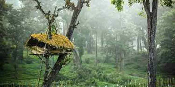 വയനാട്ടിൽ വേനലിന് സമാനം ; കർഷകർക്ക് ആശങ്ക, വിനോദസഞ്ചാരത്തിനും തിരിച്ചടി വയനാട്ടിൽ വേനലിന് സമാനം ; കർഷകർക്ക് ആശങ്ക, വിനോദസഞ്ചാരത്തിനും തിരിച്ചടി