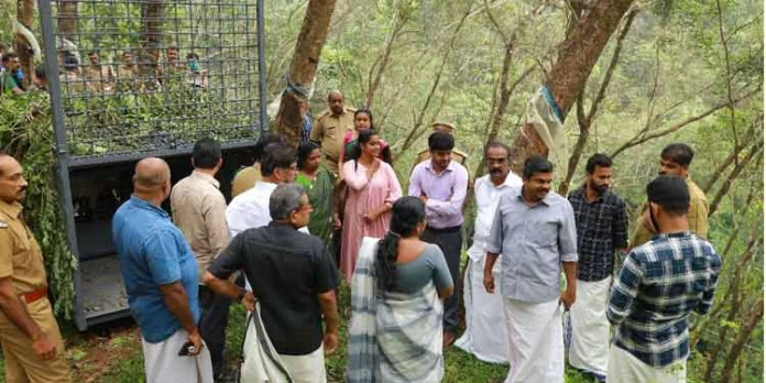 പുലിയെ കണ്ടെത്താന് ഡ്രോണ് പരിശോധന നടത്തും : അഡ്വ.കെ യു.ജനീഷ് കുമാര് എംഎല്എ പുലിയെ കണ്ടെത്താന് ഡ്രോണ് പരിശോധന നടത്തും : അഡ്വ.കെ യു.ജനീഷ് കുമാര് എംഎല്എ
