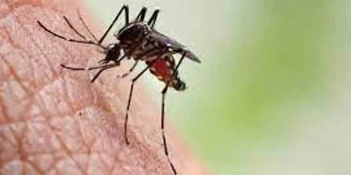 വടകരയില് 10 വയസ്സുകാരിക്ക് ജപ്പാന് ജ്വരം വടകരയില് 10 വയസ്സുകാരിക്ക് ജപ്പാന് ജ്വരം
