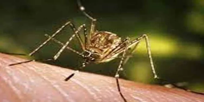 ജപ്പാന് ജ്വരം ; ലക്ഷണങ്ങള് ശ്രദ്ധിക്കുക ജപ്പാന് ജ്വരം ; ലക്ഷണങ്ങള് ശ്രദ്ധിക്കുക