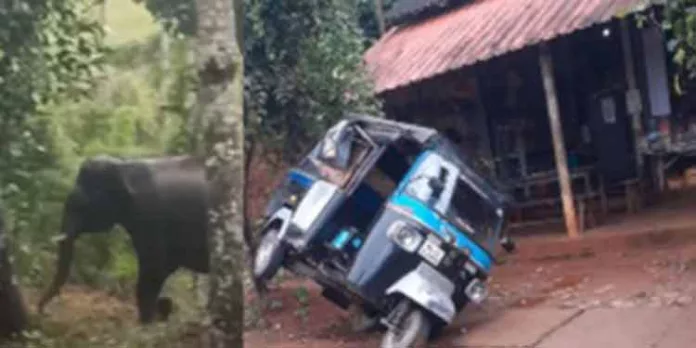 വയനാട് പയ്യമ്പള്ളിയിൽ കാട്ടാനയുടെ ആക്രമണം വയനാട് പയ്യമ്പള്ളിയിൽ കാട്ടാനയുടെ ആക്രമണം