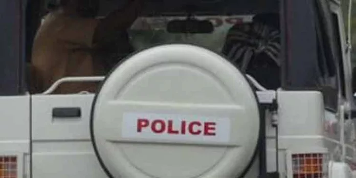 വഴിയാത്രക്കാരിയുടെ ബാഗ് തട്ടിപ്പറിച്ച് കടന്ന പ്രതി പോലീസ് പിടിയില് വഴിയാത്രക്കാരിയുടെ ബാഗ് തട്ടിപ്പറിച്ച് കടന്ന പ്രതി പോലീസ് പിടിയില്