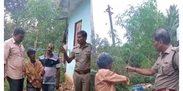 പൂച്ചെടികൾക്കിടയിൽ കഞ്ചാവ് വളർത്തിയയാളെ എക്സൈസ് അറസ്റ്റ് ചെയ്തു പൂച്ചെടികൾക്കിടയിൽ കഞ്ചാവ് വളർത്തിയയാളെ എക്സൈസ് അറസ്റ്റ് ചെയ്തു