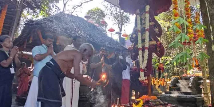 കല്ലേലി കാവിൽ മലക്കൊടി ദർശനത്തിന് തുടക്കം കുറിച്ചു കല്ലേലി കാവിൽ മലക്കൊടി ദർശനത്തിന് തുടക്കം കുറിച്ചു