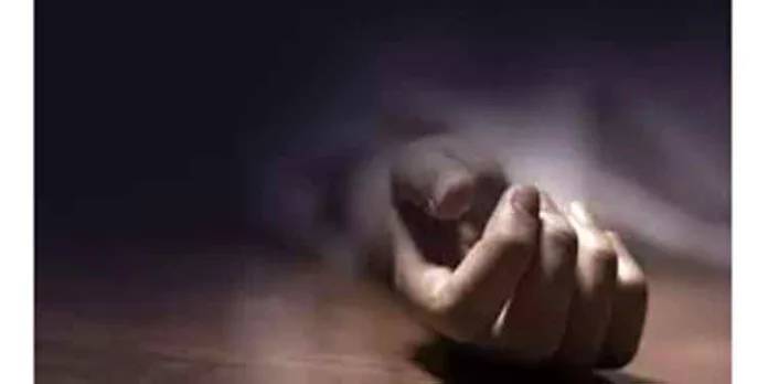 ചക്ക തലയില് വീണ് തൊഴിലുറപ്പ് തൊഴിലാളി മരിച്ചു ചക്ക തലയില് വീണ് തൊഴിലുറപ്പ് തൊഴിലാളി മരിച്ചു