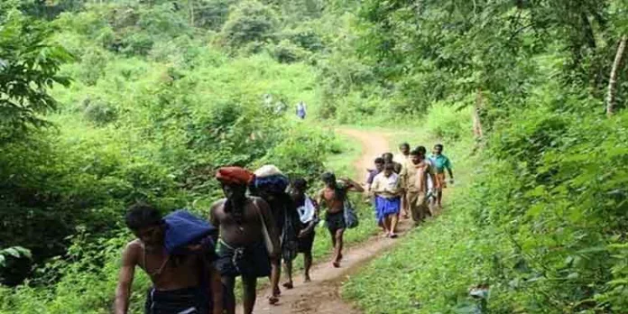 പരമ്പരാഗത കാനന പാതയില് തീര്ത്ഥാടകര്ക്കുള്ള സമയ പരിധി ഒഴിവാക്കണം ; അയ്യപ്പ സേവാ സംഘം പരമ്പരാഗത കാനന പാതയില് തീര്ത്ഥാടകര്ക്കുള്ള സമയ പരിധി ഒഴിവാക്കണം ; അയ്യപ്പ സേവാ സംഘം