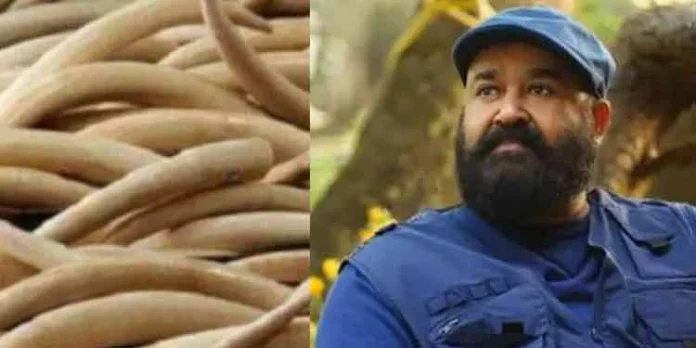 ആനക്കൊമ്പ് കേസില് മോഹന്ലാല് നിയമലംഘനം നടത്തിയില്ലെന്ന് സര്ക്കാര് ഹൈക്കോടതിയില് ആനക്കൊമ്പ് കേസില് മോഹന്ലാല് നിയമലംഘനം നടത്തിയില്ലെന്ന് സര്ക്കാര് ഹൈക്കോടതിയില്
