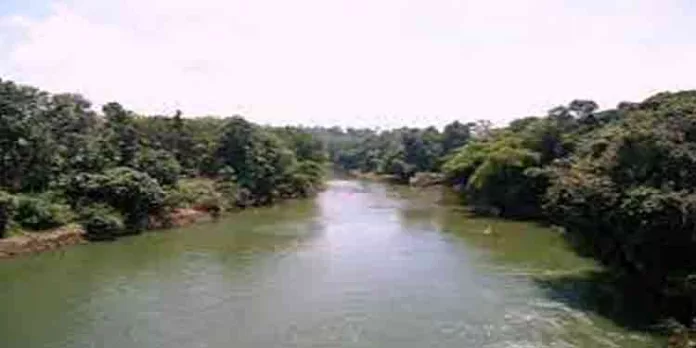 ശബരിമല തീര്ഥാടകന് അച്ചന്കോവിലാറ്റില് മുങ്ങി മരിച്ചു ശബരിമല തീര്ഥാടകന് അച്ചന്കോവിലാറ്റില് മുങ്ങി മരിച്ചു