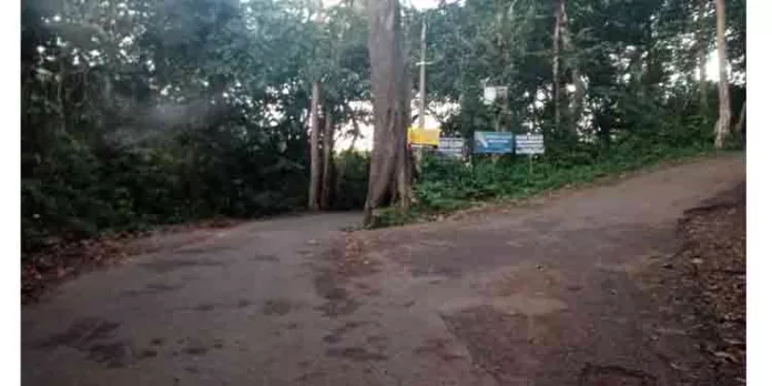ദിശാ സൂചിക നശിച്ചു ; പെരുന്തേനരുവിയിലേക്കെത്തുന്ന യാത്രക്കാർ വലയുന്നു ദിശാ സൂചിക നശിച്ചു ; പെരുന്തേനരുവിയിലേക്കെത്തുന്ന യാത്രക്കാർ വലയുന്നു