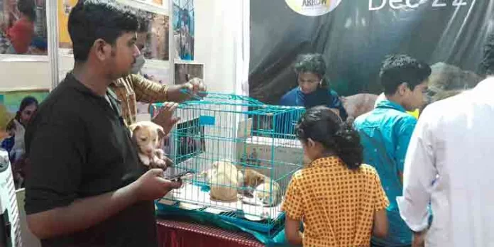 ഉപേക്ഷിക്കപെടുന്ന വളർത്തുനായകളെ ദത്തെടുക്കാൻ അവസരം ഒരുക്കി കോന്നി ഫെസ്റ്റ് ഉപേക്ഷിക്കപെടുന്ന വളർത്തുനായകളെ ദത്തെടുക്കാൻ അവസരം ഒരുക്കി കോന്നി ഫെസ്റ്റ്
