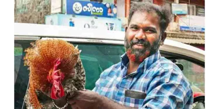 ഒരു പൂവൻ കോഴിക്ക് 10 രൂപയിൽ ആരംഭിച്ച ലേലം വിളി അവസാനിച്ചത് 13,300 രൂപയിൽ ഒരു പൂവൻ കോഴിക്ക് 10 രൂപയിൽ ആരംഭിച്ച ലേലം വിളി അവസാനിച്ചത് 13,300 രൂപയിൽ