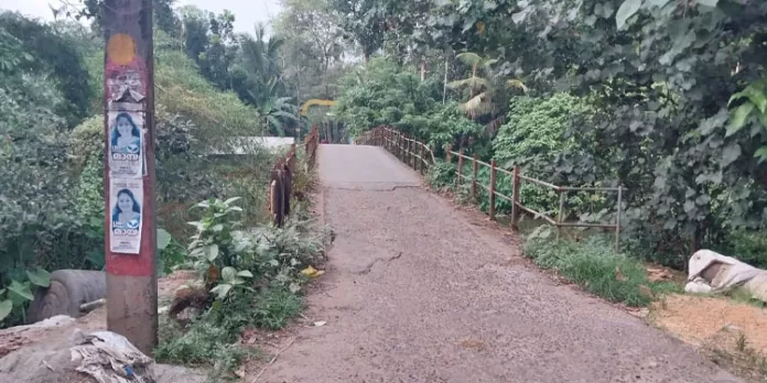 പുല്ലാപ്ലാവിൽ കടവ് പാലത്തിന് 7.69 കോടി രൂപയുടെ ഭരണാനുമതി പുല്ലാപ്ലാവിൽ കടവ് പാലത്തിന് 7.69 കോടി രൂപയുടെ ഭരണാനുമതി