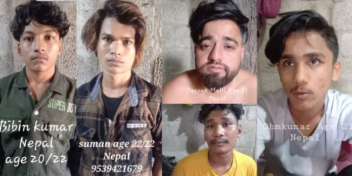 താമസസ്ഥലത്തുനിന്നും കഞ്ചാവ് പിടിച്ചു ; 5 നേപ്പാൾ സ്വദേശികൾ പിടിയിൽ താമസസ്ഥലത്തുനിന്നും കഞ്ചാവ് പിടിച്ചു ; 5 നേപ്പാൾ സ്വദേശികൾ പിടിയിൽ