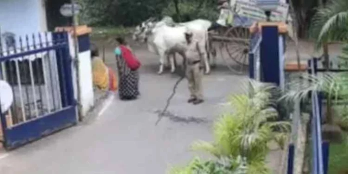ജനറല് മാനേജരുടെ ഓഫീസിന് മുന്നില് കാള മൂത്രമൊഴിച്ചതിന് കര്ഷകനെതിരെ പോലീസ് കേസെടുത്തു ജനറല് മാനേജരുടെ ഓഫീസിന് മുന്നില് കാള മൂത്രമൊഴിച്ചതിന് കര്ഷകനെതിരെ പോലീസ് കേസെടുത്തു