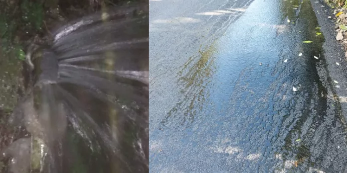 മഴയായാലും കുടിവെള്ളമില്ല ; മുക്കടപ്പുഴ ഭാഗത്ത് ജലവിതരണം മുടങ്ങിയിട്ട് ആഴ്ചകളാവുന്നു മഴയായാലും കുടിവെള്ളമില്ല ; മുക്കടപ്പുഴ ഭാഗത്ത് ജലവിതരണം മുടങ്ങിയിട്ട് ആഴ്ചകളാവുന്നു