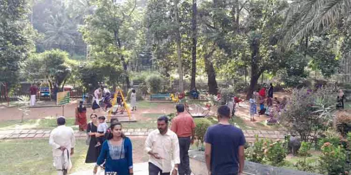 അവധി ദിനത്തിൽ കോന്നി ആനത്താവളത്തിലും അടവിയിലും തിരക്ക് വർധിച്ചു അവധി ദിനത്തിൽ കോന്നി ആനത്താവളത്തിലും അടവിയിലും തിരക്ക് വർധിച്ചു