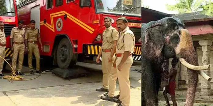 വലിയശാലയിൽ ചതുപ്പിൽ അകപ്പെട്ട ആനയെ ന്യൂമാറ്റിക് ബാഗ് ഉപയോഗിച്ച് ഫയര് ഫോഴ്സ് രക്ഷപെടുത്തി വലിയശാലയിൽ ചതുപ്പിൽ അകപ്പെട്ട ആനയെ ന്യൂമാറ്റിക് ബാഗ് ഉപയോഗിച്ച് ഫയര് ഫോഴ്സ് രക്ഷപെടുത്തി