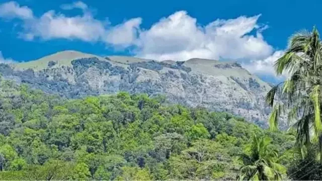 ബഫര്സോണ് ; കരട്-അന്തിമ വിജ്ഞാപനങ്ങള്ക്ക് ഇളവ് തേടി കേരളം ബഫര്സോണ് ; കരട്-അന്തിമ വിജ്ഞാപനങ്ങള്ക്ക് ഇളവ് തേടി കേരളം