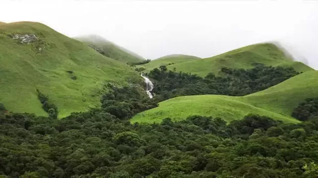 ബഫര് സോണില് ആശങ്കയൊഴിയാതെ മലപ്പുറത്തെ മലയോര ജനത ബഫര് സോണില് ആശങ്കയൊഴിയാതെ മലപ്പുറത്തെ മലയോര ജനത