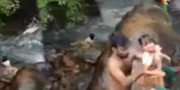 കുറ്റാലം വെള്ളച്ചാട്ടത്തിൽ കുളിക്കുന്നതിനിടെ ഒഴുക്കിൽപ്പെട്ട നാല് വയസുകാരിയെ അത്ഭുതകാരമായി രക്ഷപെടുത്തി കുറ്റാലം വെള്ളച്ചാട്ടത്തിൽ കുളിക്കുന്നതിനിടെ ഒഴുക്കിൽപ്പെട്ട നാല് വയസുകാരിയെ അത്ഭുതകാരമായി രക്ഷപെടുത്തി