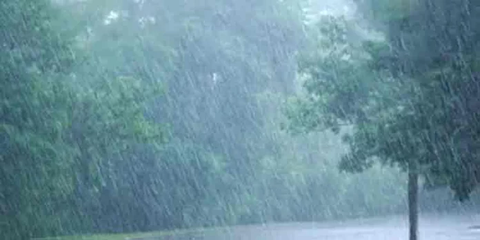 സംസ്ഥാനത്ത് ഇന്നും നാളെയും ഒറ്റപ്പെട്ട ശക്തമായ മഴക്ക് സാധ്യത സംസ്ഥാനത്ത് ഇന്നും നാളെയും ഒറ്റപ്പെട്ട ശക്തമായ മഴക്ക് സാധ്യത