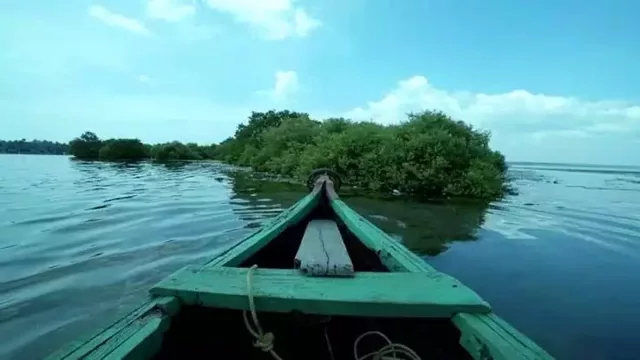 സാമ്പ്രാണിക്കോടി തുരുത്ത് ; കര്ശന നിയന്ത്രണങ്ങളോടെ വെള്ളിയാഴ്ച വീണ്ടും തുറക്കാൻ തീരുമാനം സാമ്പ്രാണിക്കോടി തുരുത്ത് ; കര്ശന നിയന്ത്രണങ്ങളോടെ വെള്ളിയാഴ്ച വീണ്ടും തുറക്കാൻ തീരുമാനം