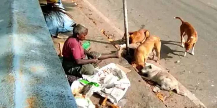 പച്ച മാംസം ഉള്പ്പെടെ നല്കി തെരുവ് നായകളെ തീറ്റിപോറ്റി നടോടി സ്ത്രീ പച്ച മാംസം ഉള്പ്പെടെ നല്കി തെരുവ് നായകളെ തീറ്റിപോറ്റി നടോടി സ്ത്രീ