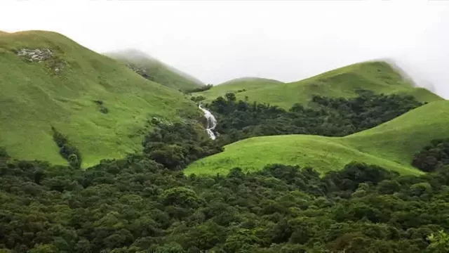 ബഫർസോൺ ഫീൽഡ് സർവേയിൽ തീരുമാനം ഇന്ന് ; പരാതികളും കേൾക്കും ബഫർസോൺ ഫീൽഡ് സർവേയിൽ തീരുമാനം ഇന്ന് ; പരാതികളും കേൾക്കും