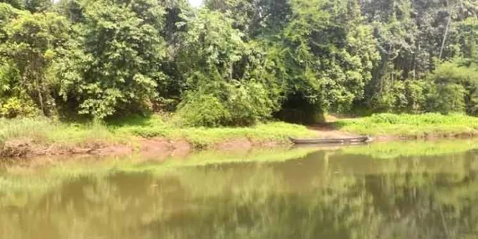 ഇളകൊള്ളൂര് മാളിയേക്കല് കടവിലെ കടത്തുവള്ളം പുനരാരംഭക്കണമെന്ന ആവശ്യം ശക്തമാകുന്നു… ഇളകൊള്ളൂര് മാളിയേക്കല് കടവിലെ കടത്തുവള്ളം പുനരാരംഭക്കണമെന്ന ആവശ്യം ശക്തമാകുന്നു…