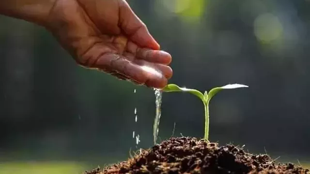 വായുമലിനീകരണം തടയാൻ വൃക്ഷത്തൈകൾ നടാനൊരുങ്ങി പശ്ചിമ ബംഗാൾ വായുമലിനീകരണം തടയാൻ വൃക്ഷത്തൈകൾ നടാനൊരുങ്ങി പശ്ചിമ ബംഗാൾ