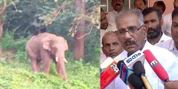 ധോണിയിലെ കൊമ്പനെ പിടികൂടുന്നതില് വനംവകുപ്പിന് മനംമാറ്റം ; നിരാശരായി ജനങ്ങള് ധോണിയിലെ കൊമ്പനെ പിടികൂടുന്നതില് വനംവകുപ്പിന് മനംമാറ്റം ; നിരാശരായി ജനങ്ങള്