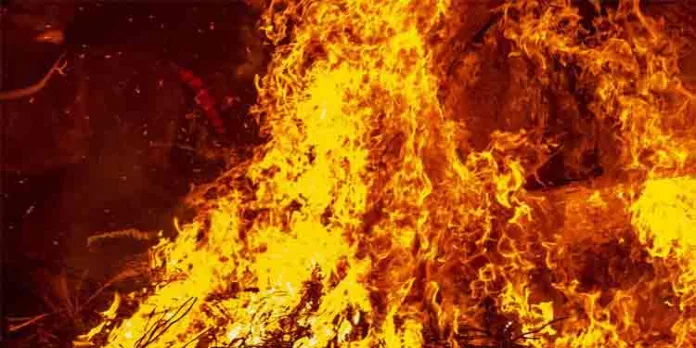 ഇരിങ്ങാലക്കുടയില് വെളിച്ചെണ്ണ ഫാക്ടറിയിൽ തീപിടുത്തo ഇരിങ്ങാലക്കുടയില് വെളിച്ചെണ്ണ ഫാക്ടറിയിൽ തീപിടുത്തo