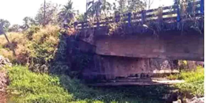 കരുവാറ്റയിലെ കന്നുകാലിപ്പാലം ഇനി ഓര്മ്മത്താളുകളിലേക്ക് കരുവാറ്റയിലെ കന്നുകാലിപ്പാലം ഇനി ഓര്മ്മത്താളുകളിലേക്ക്